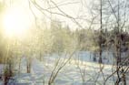 Winter sun